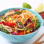 A delicious and healthy family meal packed full of nutritious veggies! | My Fussy Eater blog