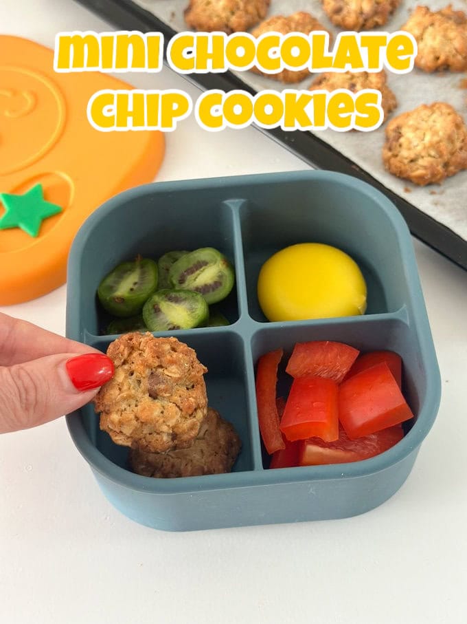 Mini Chocolate Chip Cookies in a blue silicone snack box, served with mini kiwis, chopped red pepper and a mini cheese portion.